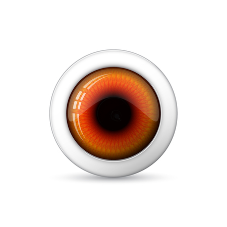 Glossy 3d round eye Vector illustration. Shiny eye isolatedのイラスト素材
