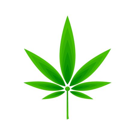 Cannabis vector icon. Green cannabis leaf. Medical marijuana leaf isolated.のイラスト素材