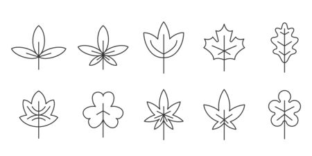 Set of Leaves in thin line style. Outline leavesのイラスト素材