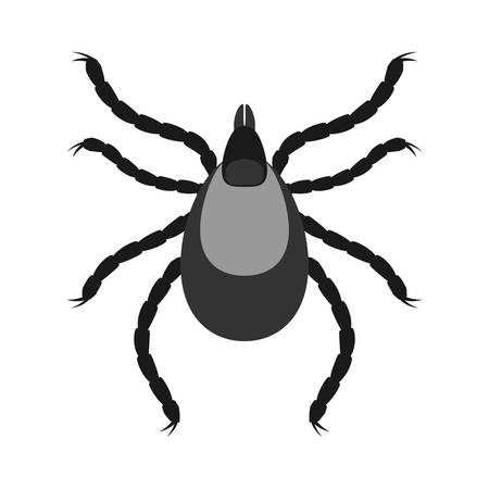 Mite parasites. Insect icon isolated. Black silhouette of mite. Vector illustration. Mite icon in flat designのイラスト素材