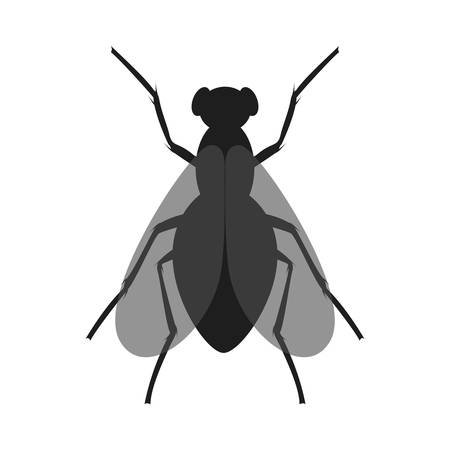 The fly icon. Black silhouette of housefly. Insect icon isolated. Vector illustration. Housefly   in flat styleのイラスト素材