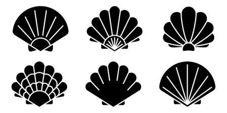 Sea shell icon. Set of pearl shell icons. Vector illustration. Shell vector icons. Black seashell...