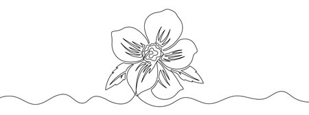 Continuous editable drawing of a flower. Flower icon in one line style.のイラスト素材