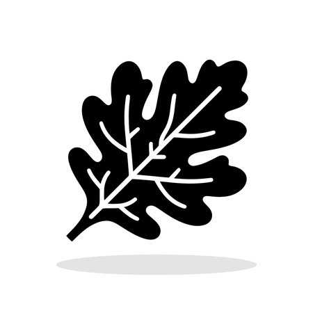 Oak leaf icon. Vector illustration. Leaf vector icon. Black oak leaf iconのイラスト素材
