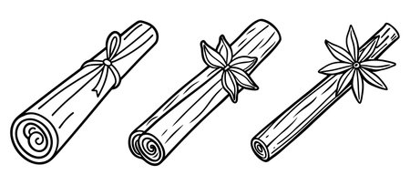 Cinnamon sticks set. Cinnamon sticks and star anise, isolated on white background. Vector illustrationのイラスト素材