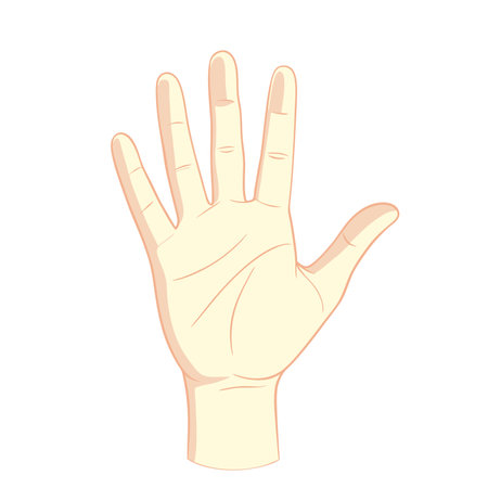 Human hand up. Hand drawn image of a hand up isolated on white background. Vector illustration.のイラスト素材