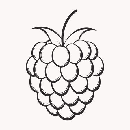 Hand drawn sketch of raspberry. Vintage hand drawn raspberry with leaves. Vector illustration