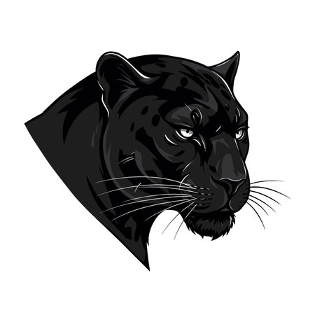 Panther head icon. Black and white icon of a panthers head,のイラスト素材