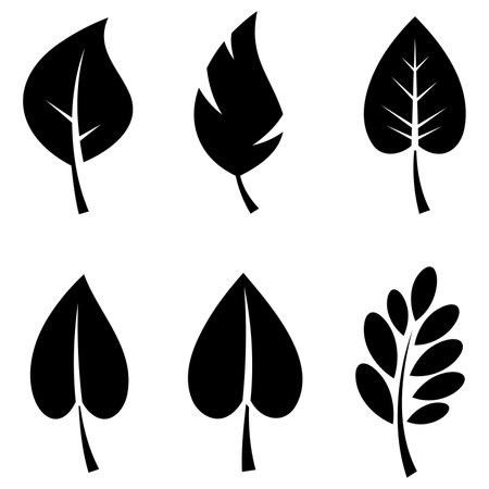 Leaf icon. Black leaf icons isolated on white backgroVector illustration.のイラスト素材