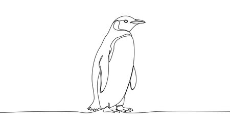 Penguin in one line art style. Drawing of penguin with editable black stroke on white background. Vector illustration.のイラスト素材