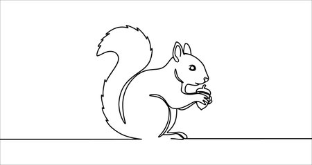Squirrel icon. Black squirrel with a bushy tail holding an acorn, written in one continuous line. Vector illustrationのイラスト素材