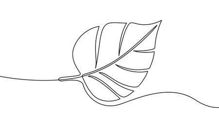 Plant leaf in one line art style. Leaf drawing with editable black stroke on a white background. Vector illustration.のイラスト素材