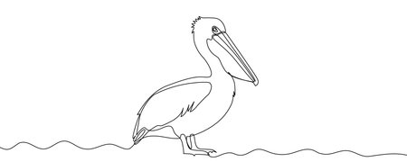 Pelican in line art style. Minimalist drawing of a water bird with a large beak, made in a continuous line. Vector illustration.のイラスト素材