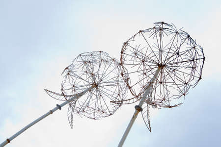 Iron dandelions decoration in the skyの写真素材