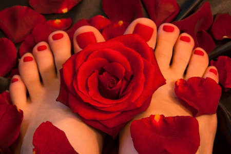 Pedicure with a red roseの写真素材