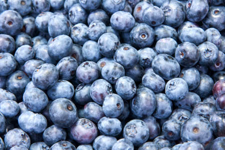 Blueberries backgroundの写真素材