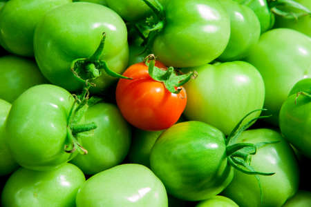 Green and red tomatoes backgroundの写真素材