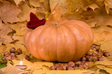 Pumpkin for Halloween with red hat and candle on the foliage with hazelnutsの写真素材