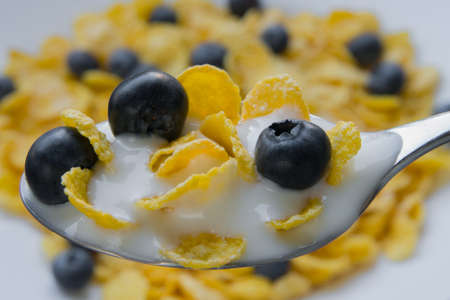 Fresh blueberries with corn flakes with diet yogurtの写真素材