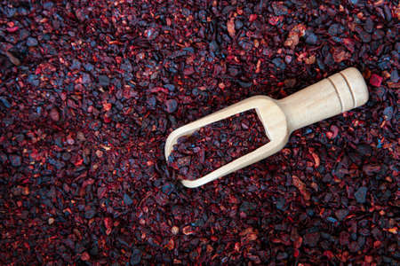 Dried tomato spice with wooden spatula backgroundの写真素材