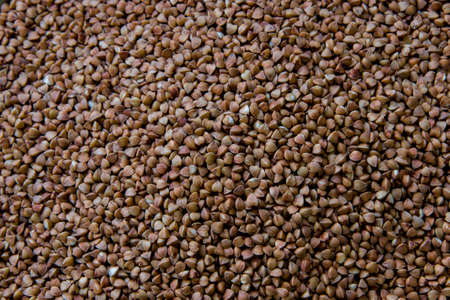 Background of dry buckwheat full frame horizontalの写真素材