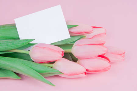 Delicate postcard flowers tulips with a note on a pink background mock upの写真素材