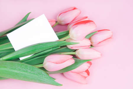 Delicate postcard flowers tulips with a note on a pink background mock upの写真素材
