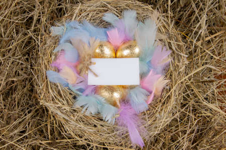 Golden eggs with colorful feathers in a nest with a note mock up, top view. Concept easter.の写真素材
