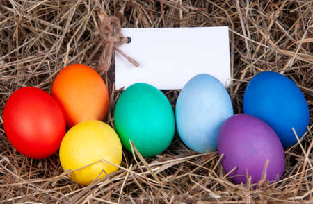 Multicolored eggs with a note in the a hay. Mock up, concept easter.の写真素材