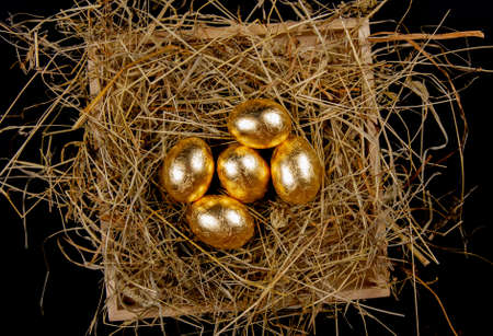 Golden eggs in a nest on black backgriound top view. Concept easter.