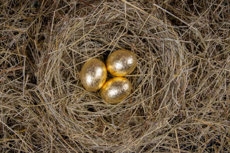 Golden eggs with in a nest top view. Concept easter.の写真素材