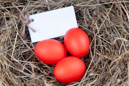 Red eggs with a note in the hay. Mock up, concept easter.の写真素材