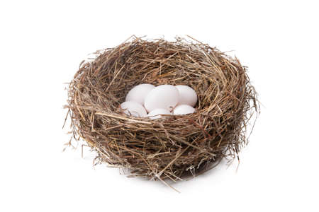 Heap of white eggs in a straw nest on a white backgroundの写真素材