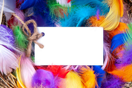 Multicolored feathers with a note mock up. Concept easter.の写真素材