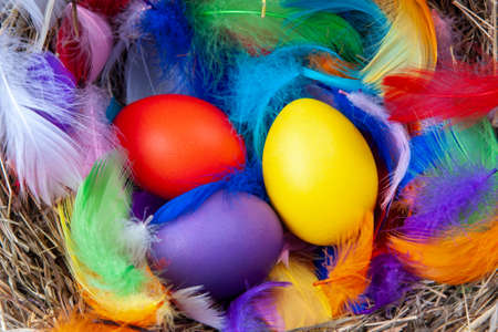 Bright multicolored eggs with colorful feathers in a nest with a note mock up, top view. Concept easter.の写真素材