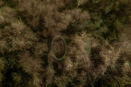 Plastic crumpled cup underwater at the bottom of the ocean. Environmental pollution conceptの写真素材