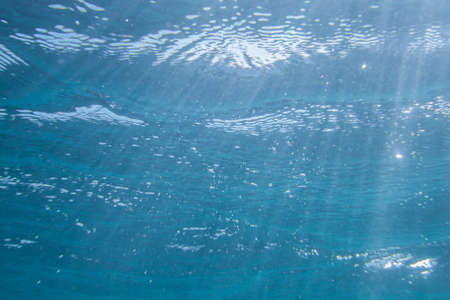 Calm transparent blue background under clear water in the open ocean.の写真素材