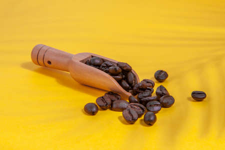 Coffee beans with shadows from a palm tree in a coffee spoon scattered on a yellow background.の写真素材