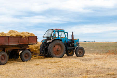 Old blue tractor harvests hay for the winter. Agriculture conceptの写真素材