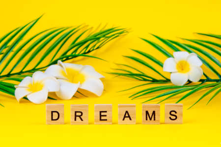 Plumeria flowers with palm leaves and with the text "dreams" on a yellow background. Summer and vacation dream conceptの写真素材