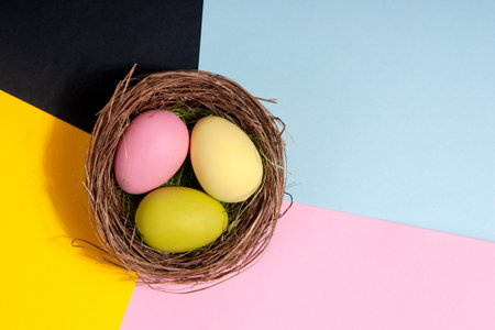 Easter eggs in a nest on a stylish multicolored background. Easter conceptの写真素材