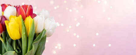 Beautiful delicate bouquet of tulip flowers on pink background header. Panoramic web banner with copy space for design, bokeh. Spring holidays concept, March 8, Easter, Valentines Dayの写真素材
