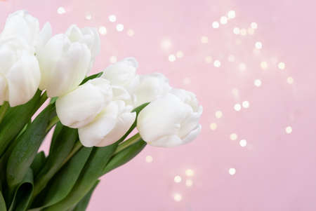 Beautiful delicate bouquet of tulip flowers on pink background header. Panoramic web banner with copy space for design, bokeh. Spring holidays concept, March 8, Easter, Valentines Dayの写真素材