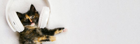 Banner cute fluffy kitten cat in white musical headphones lies and rests on a white soft blanket and looking at camera. Funny kitten resting and listening to music.の写真素材