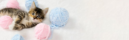 Banner striped tabby cat playing with pink and light blue balls skeins of thread on white bed. Little curious kitten lying over white blanket looking at camera.の写真素材