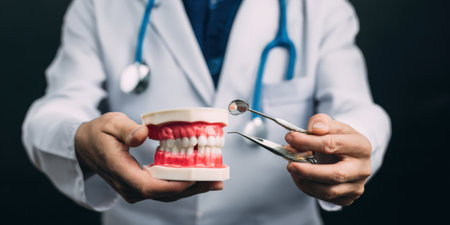 Healthcare professional wearing a lab coat and stethoscope, presenting a detailed dental model of teeth and gums alongside essential dentist tools, emphasizing oral health education and dental careの素材