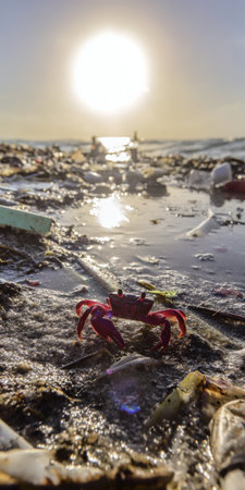 Small red crab navigating a plastic-strewn beach at sunset, highlighting the severe ocean pollution crisis and its impact on marine life and pristine coastal ecosystemsの素材