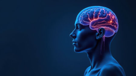 Profile view of a transparent human head highlighting the vibrant, glowing parietal lobe, essential for sensory processing and spatial awareness against a dark blue backgroundの素材