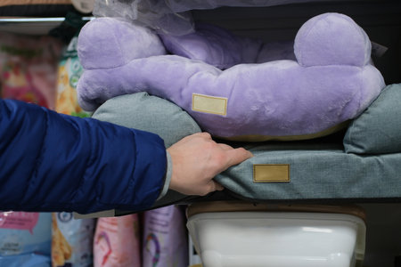 Checking the softness of a pet bedの写真素材