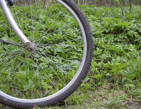 Wheelの写真素材